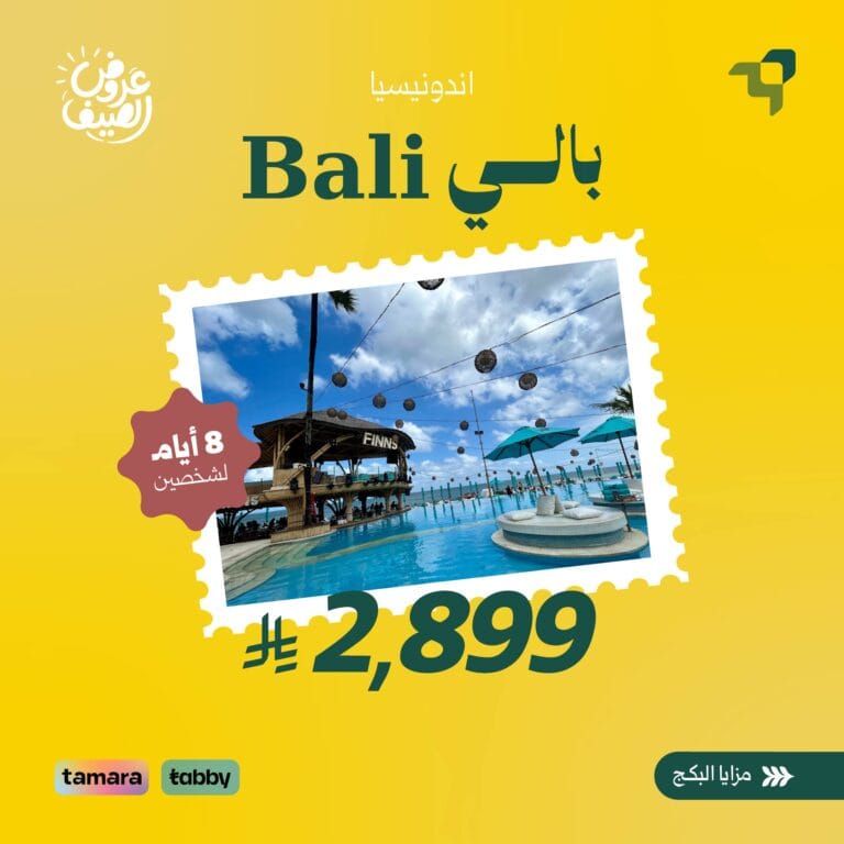 بكج اندونيسيا الاقتصادي